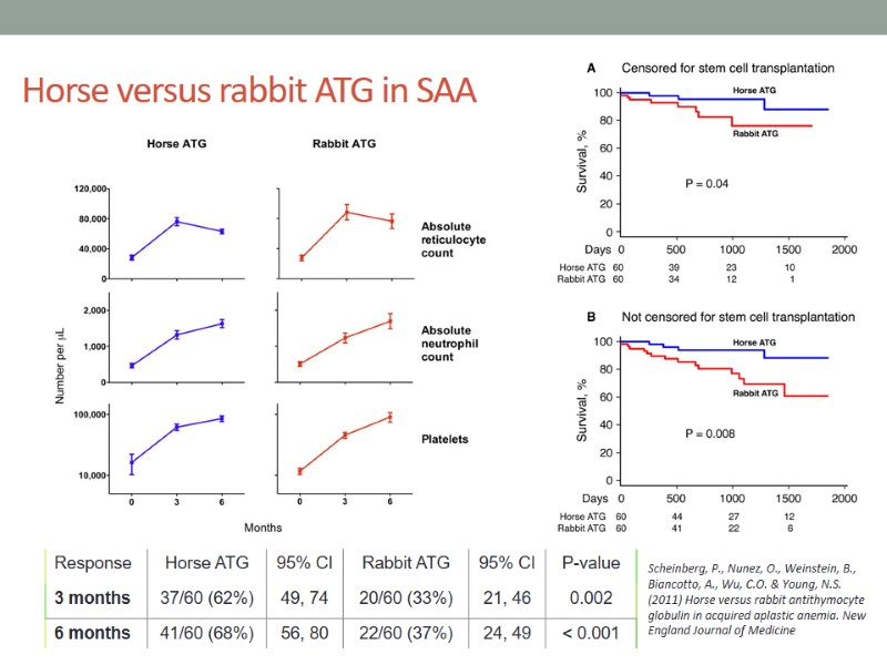 Horse versus rabbit ATG in SAA Scheinberg, P., Nunez, O., Weinstein, B., Biancotto, A.,
